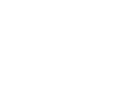 Renaissance Human